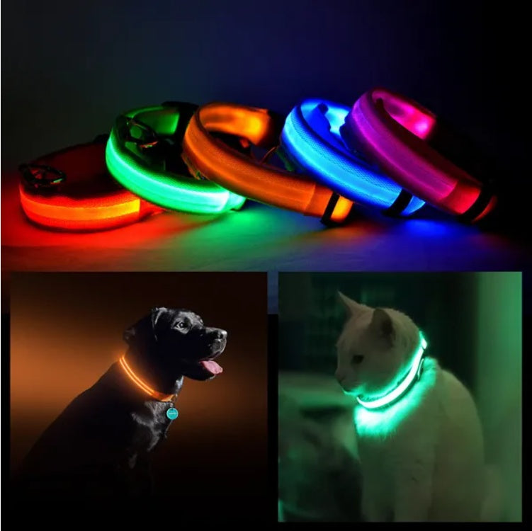 GlowCollar – LED Light for Safe Night Walks