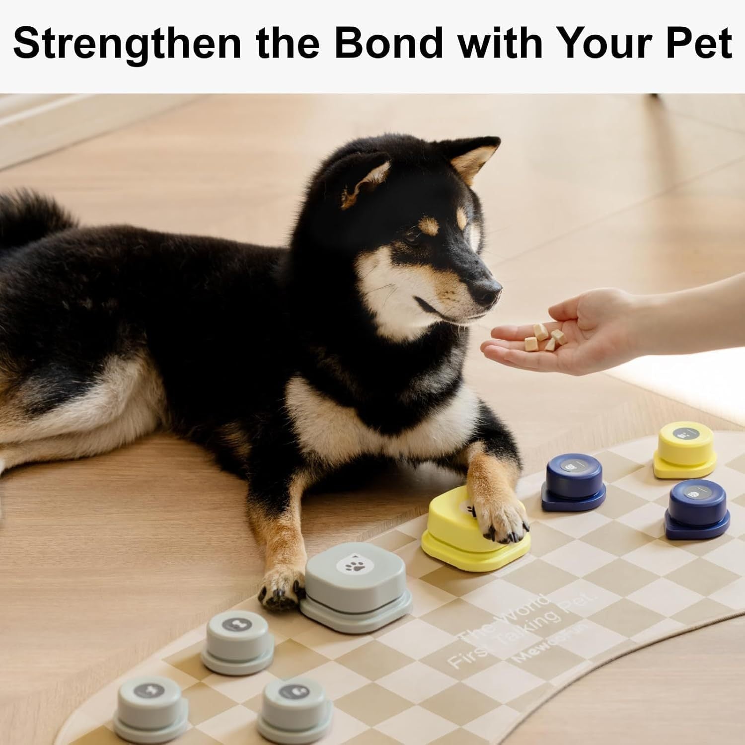 PawPress – Talking Buttons for Clever Pets