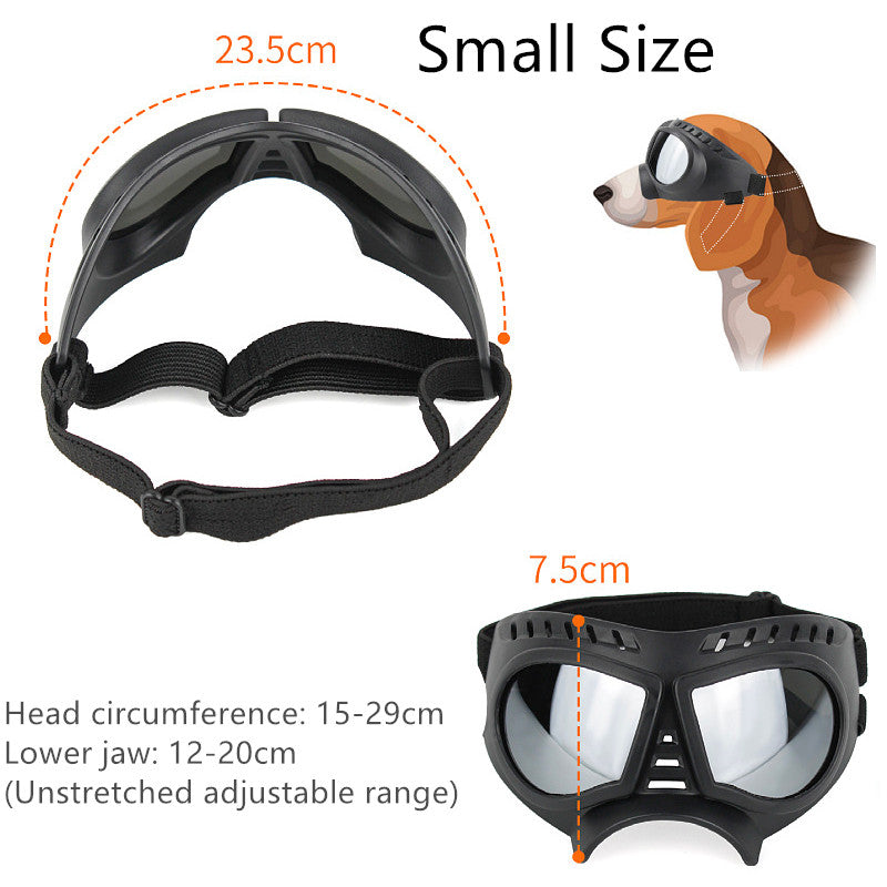 WindPaws – Stylish Sunglasses for Cool Pets
