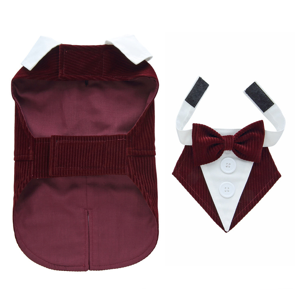 PupDapper – Tuxedo Dress for Fancy Occasions
