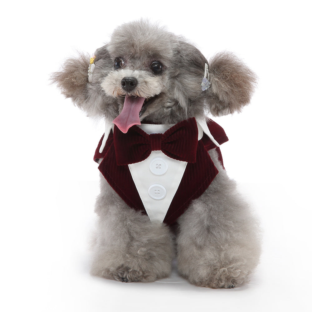 PupDapper – Tuxedo Dress for Fancy Occasions