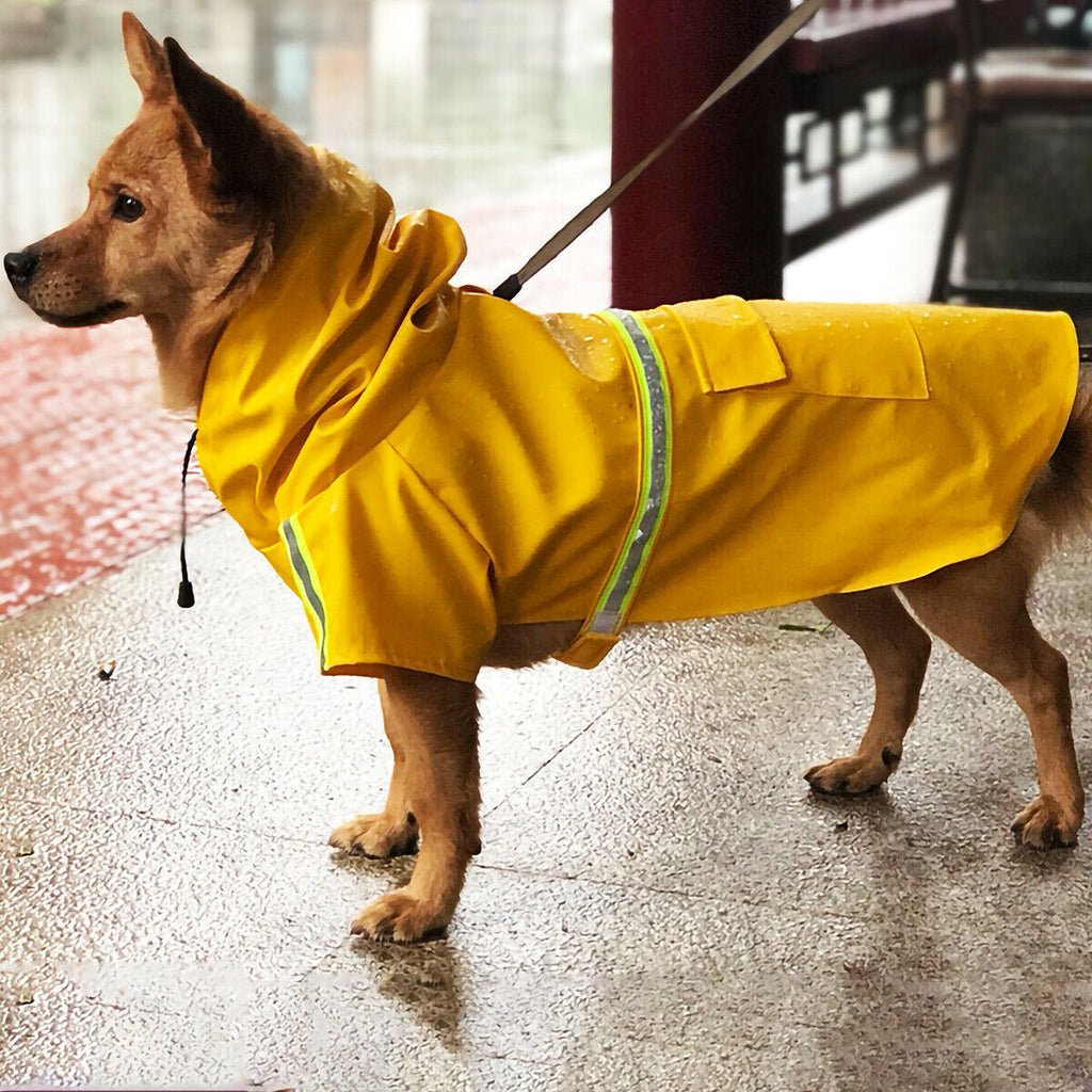 RainPup – Waterproof Coat for Wet Walks