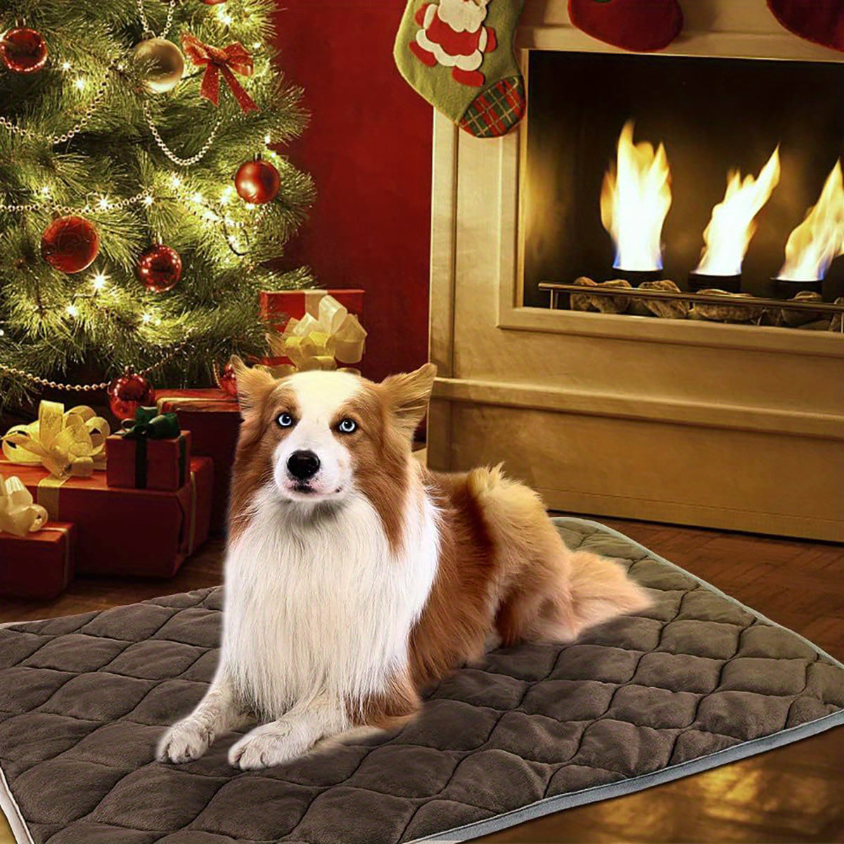 PupNest – Comfy Bed for Restful Naps