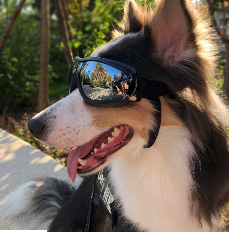 PawShades – UV Goggles for Cool Dogs