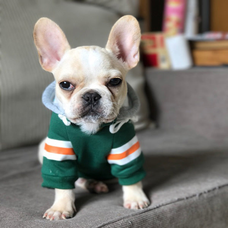 SnuggleKnit – Cozy Sweater for Pets