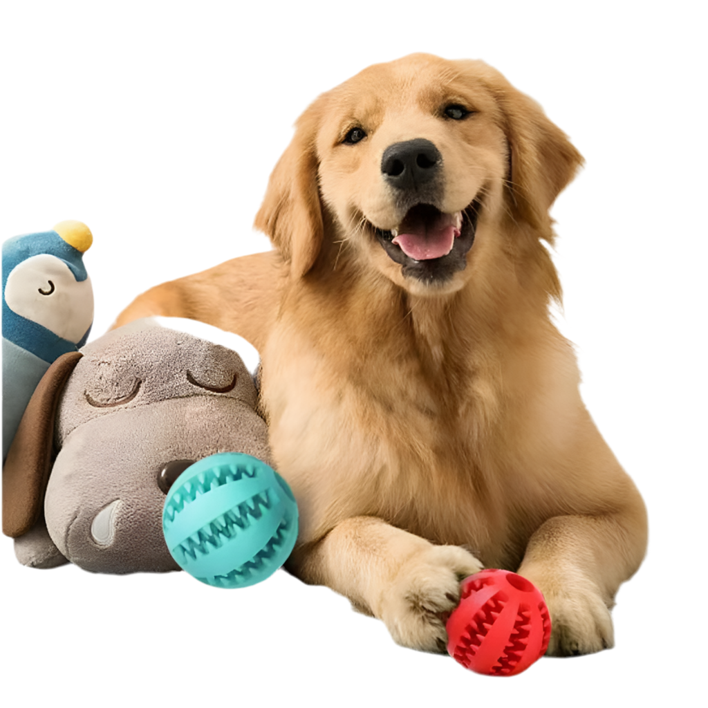 SnackRoll – Interactive Treat Ball for Playful Pets