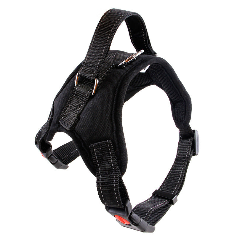 TailTag – Collar for Medium & Large Dogs