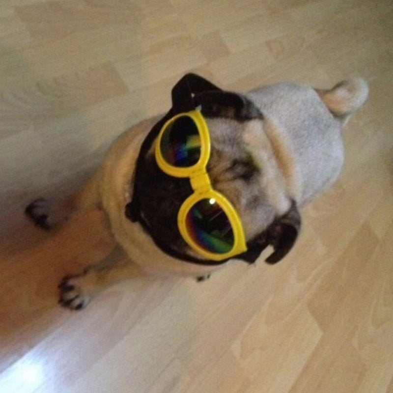 FoldiShades – UV Goggles