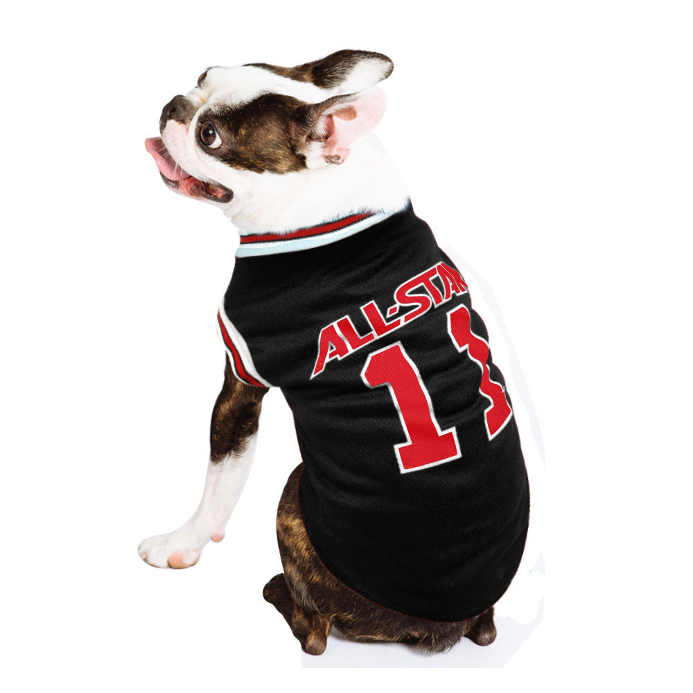 Alldogstar