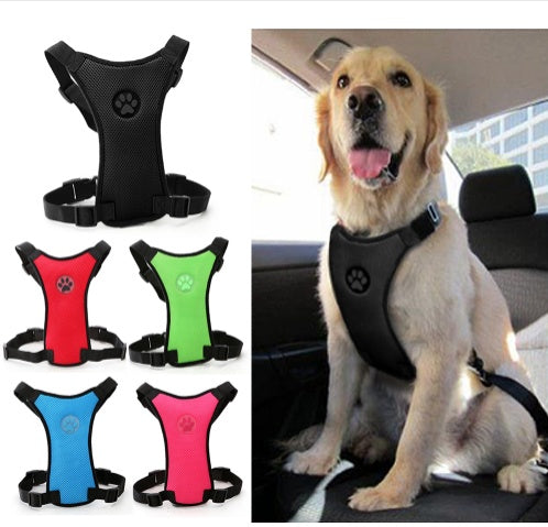 BreezeGuard – Mesh Harness for Safe Travels