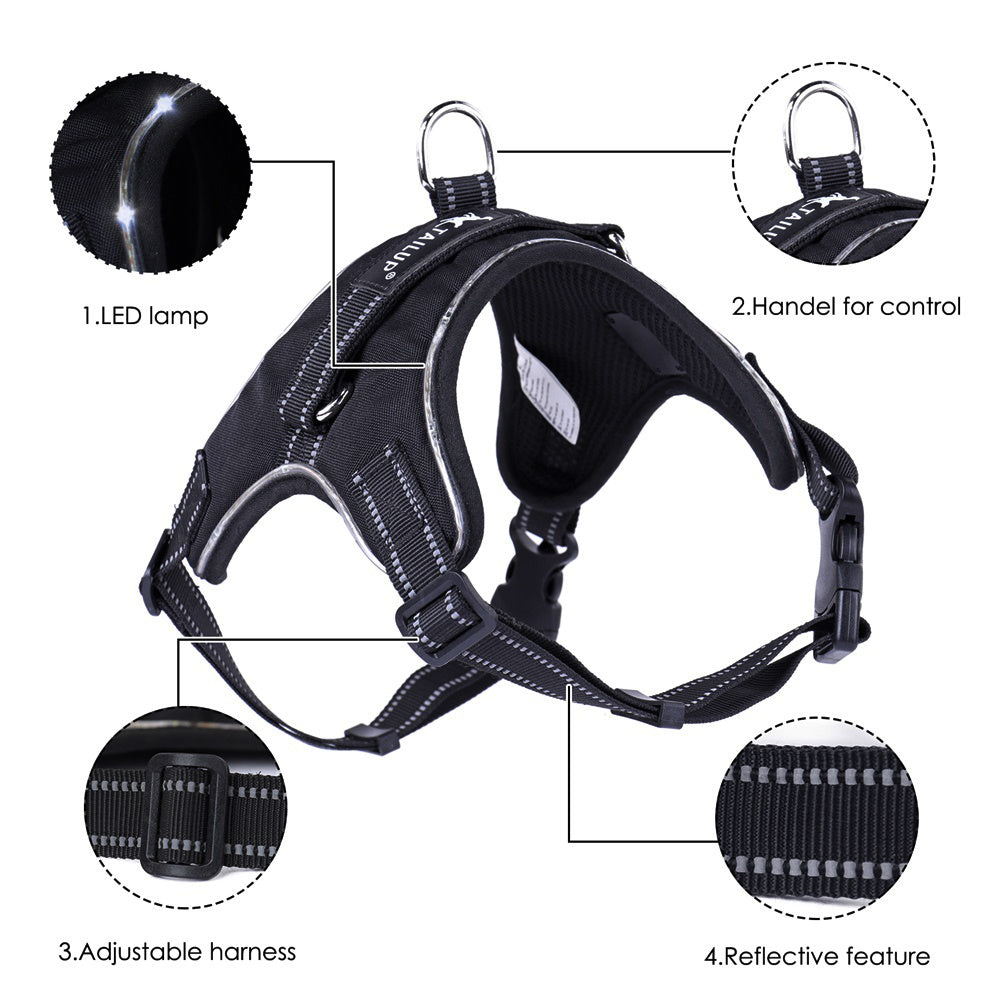 GlowPup – Light-Up Collar for Safe Walks