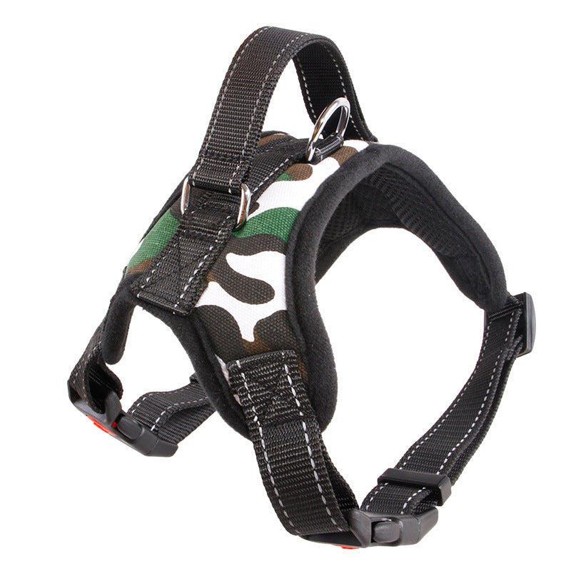 TailTag – Collar for Medium & Large Dogs
