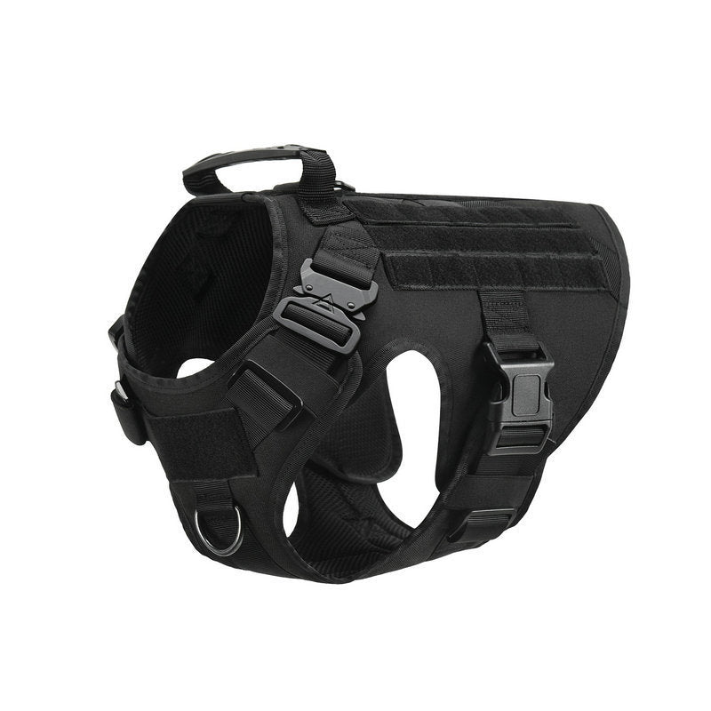 Military Tactical Dog