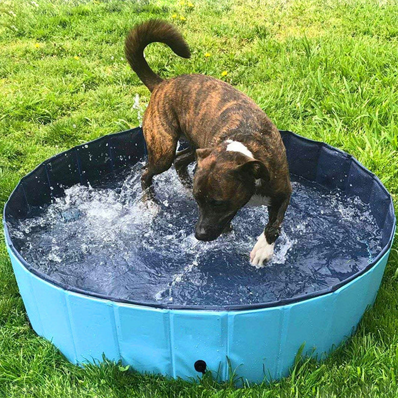 SplashPup – Foldable Pool for Pets & Kids