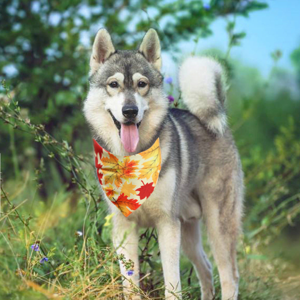GobbleBand – Thanksgiving Bib for Festive Pets