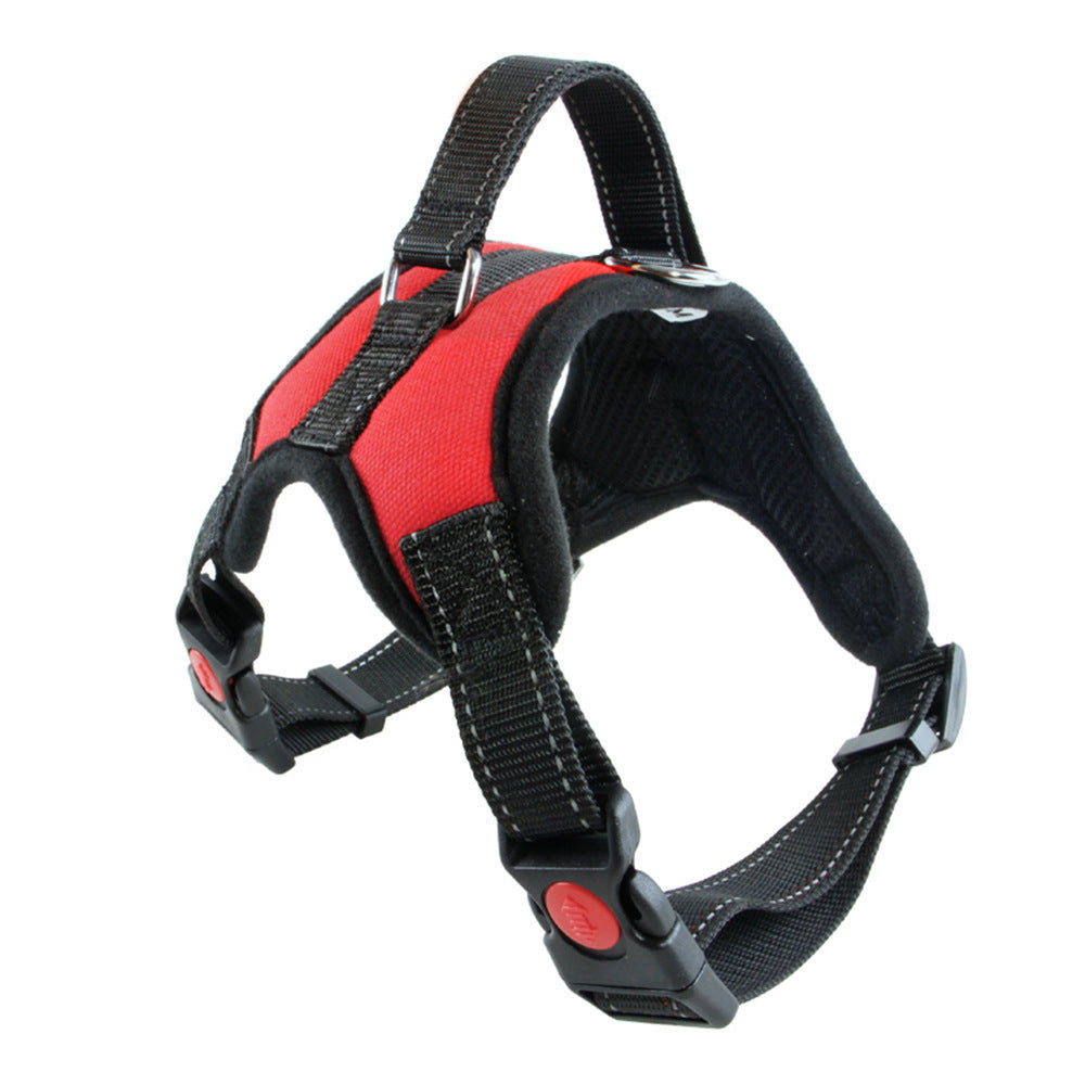 TailTag – Collar for Medium & Large Dogs