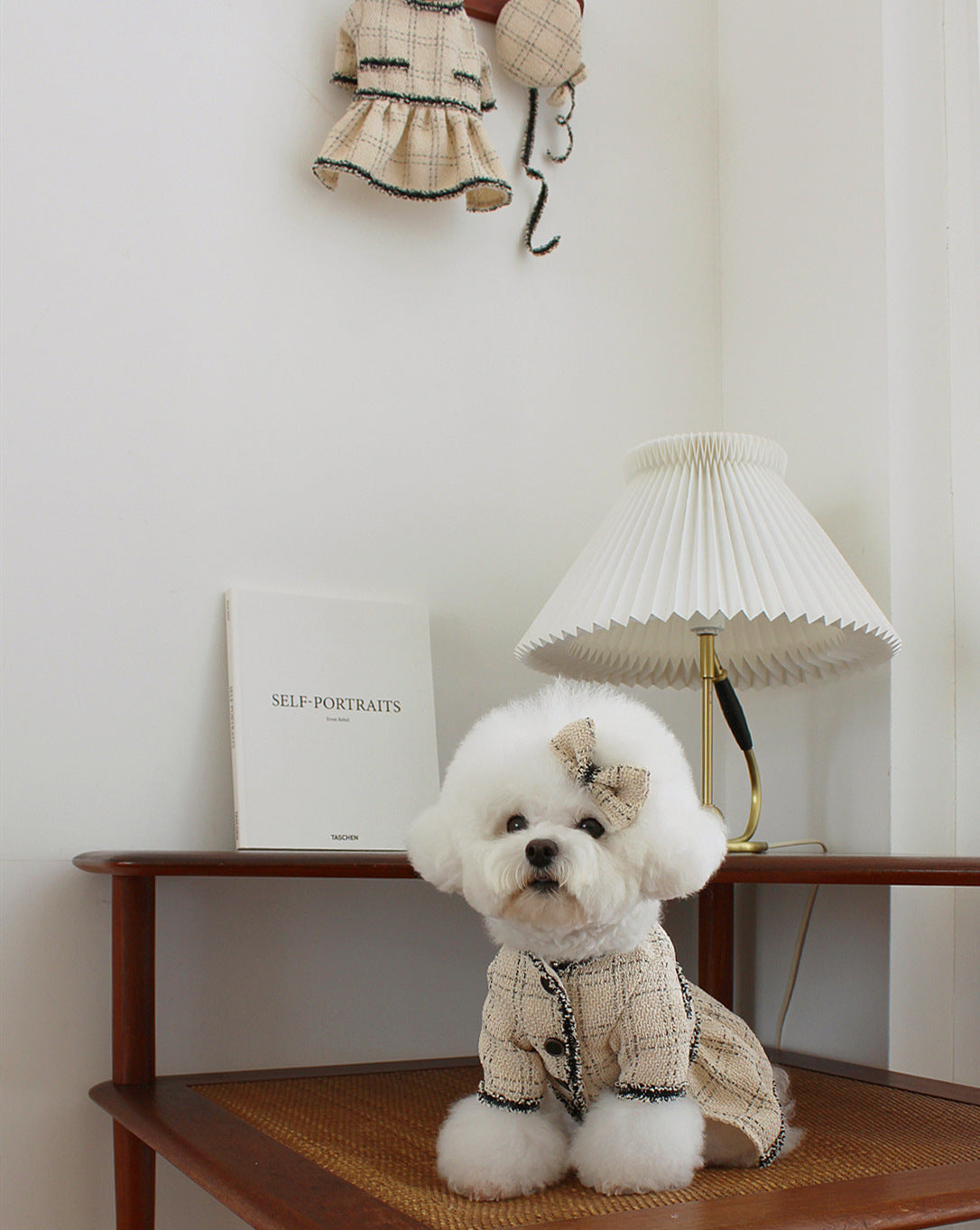 Pet Dog Clothing Princess Skirt