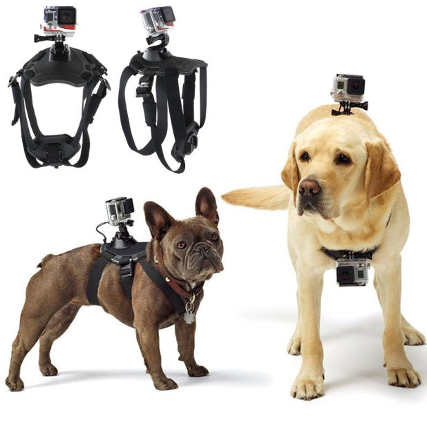 HeroPup – Sturdy Harness for Brave Dogs