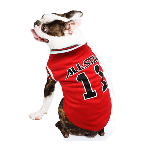 Alldogstar
