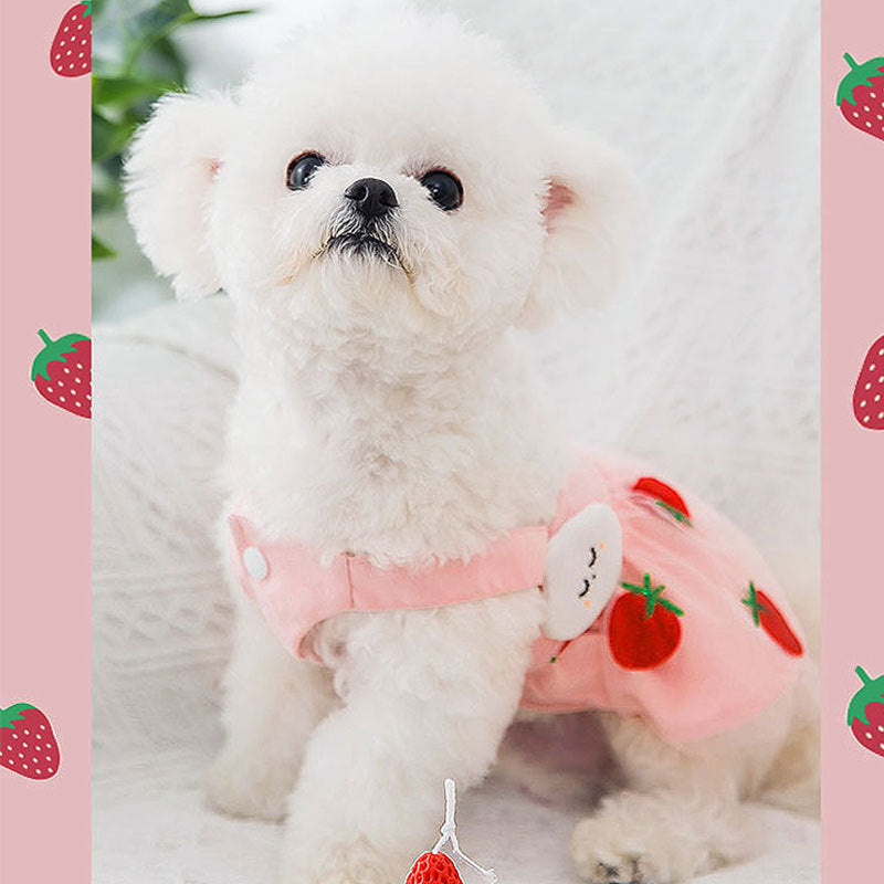 Strawberry Princess