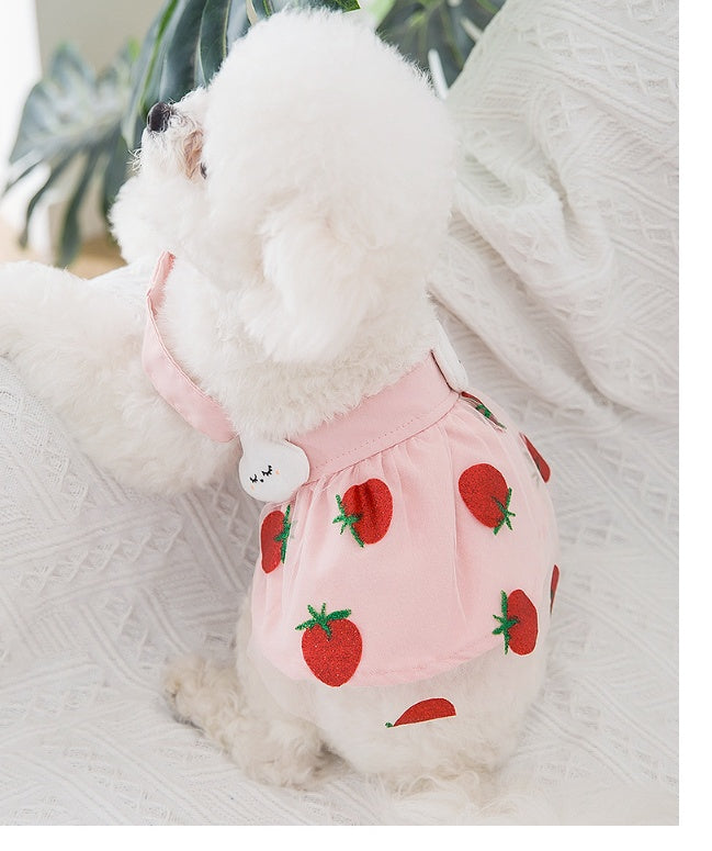 Strawberry Princess