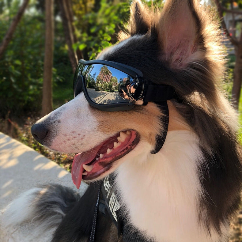 WoofStyle Shades – Cool Goggles with Gold Chain