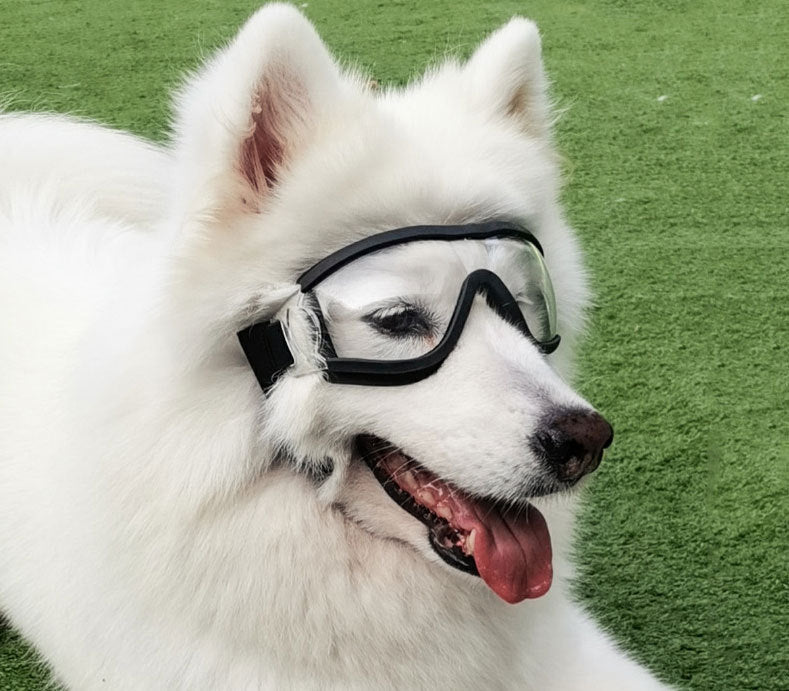 WoofStyle Shades – Cool Goggles with Gold Chain