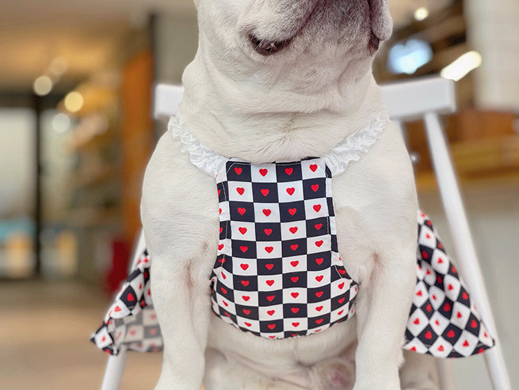 Bichon Chessboard