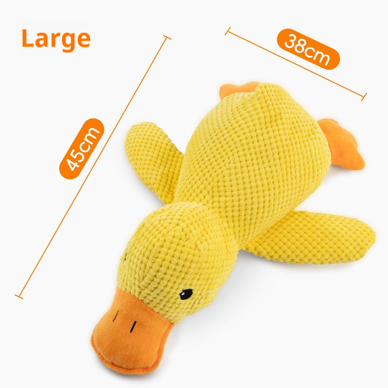 Ozi the Duck