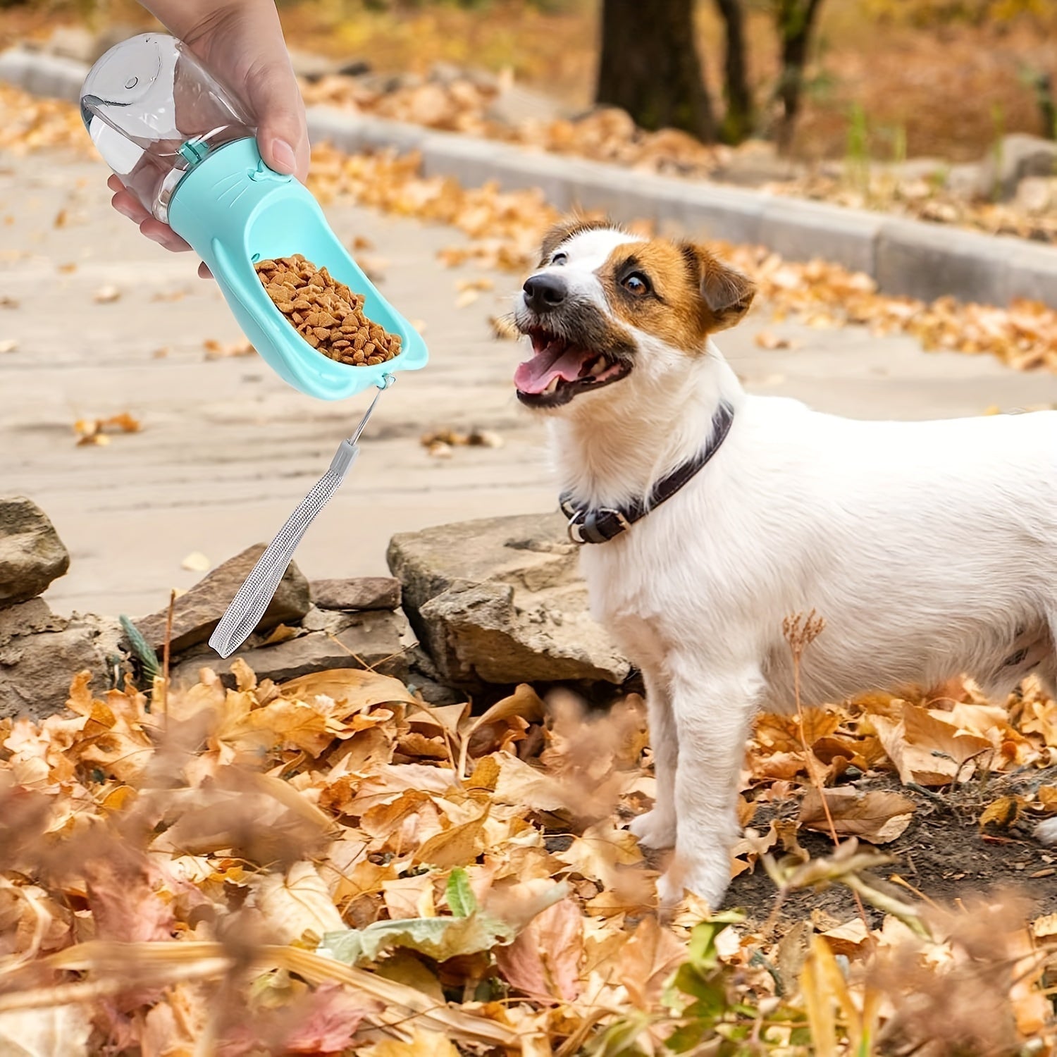2 In 1 Dog Water Bottle