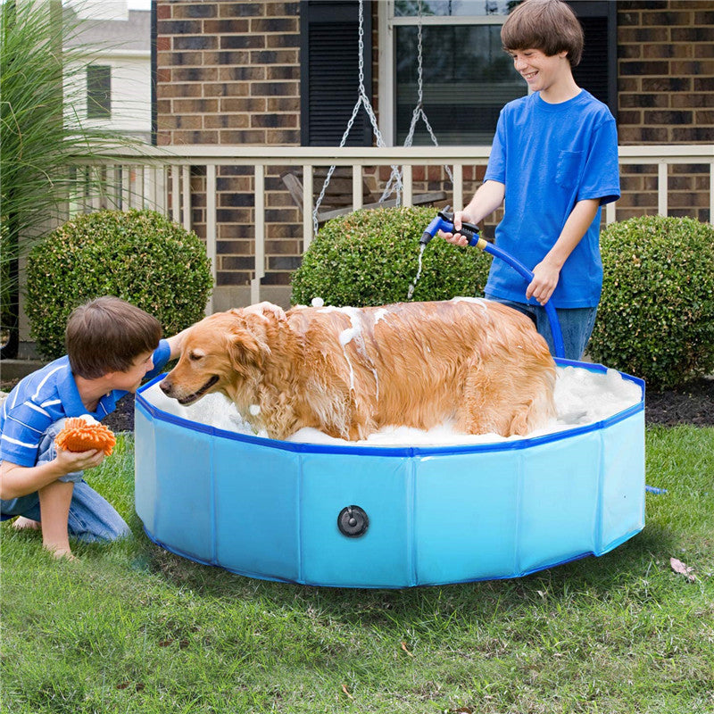 SplashPup – Foldable Pool for Pets & Kids
