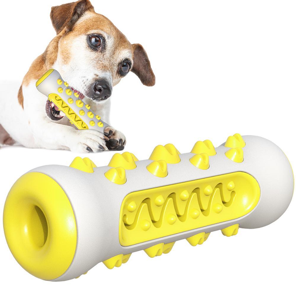 Tough Chew Buddy – Squeaky Toy