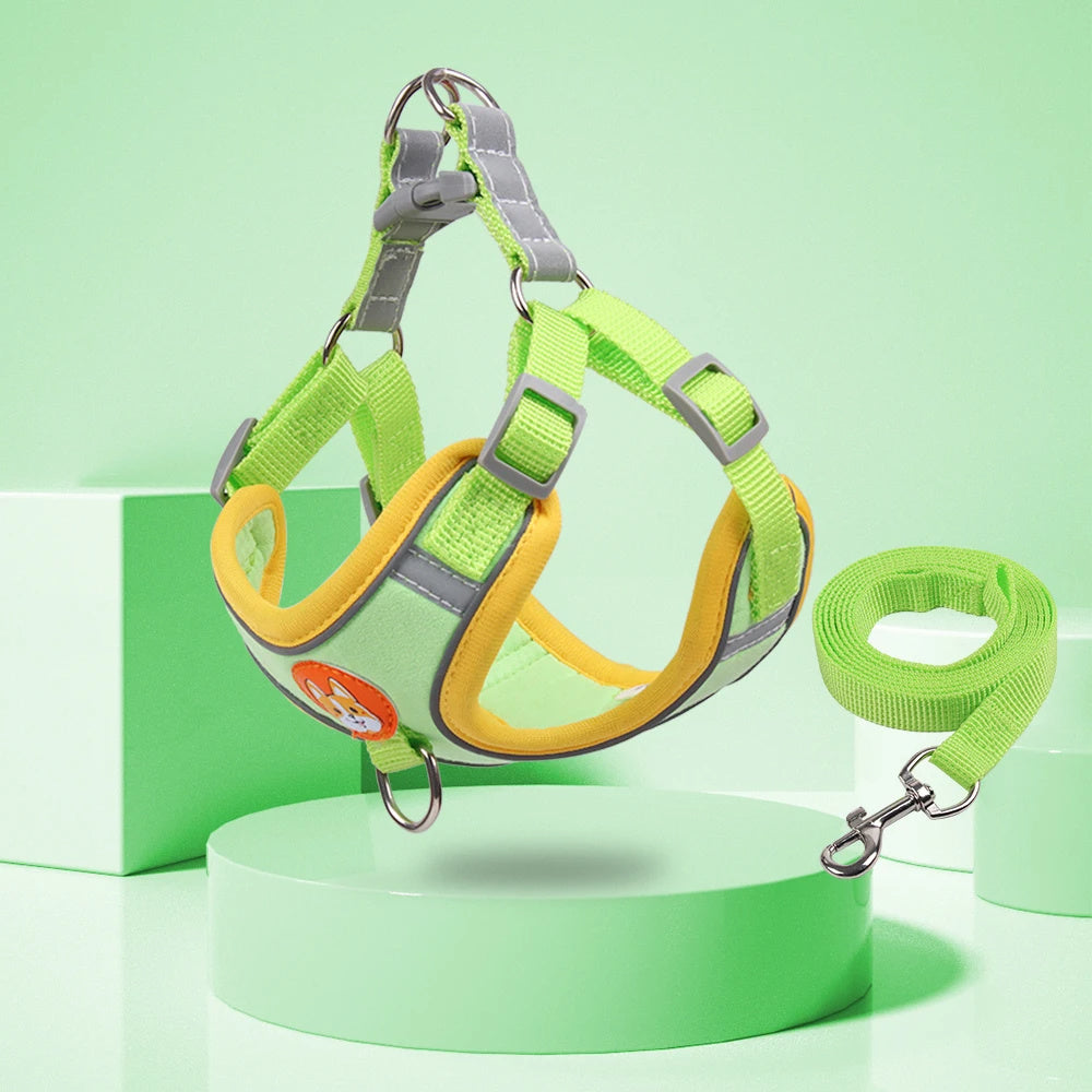 Pet Dog Harness And Leash