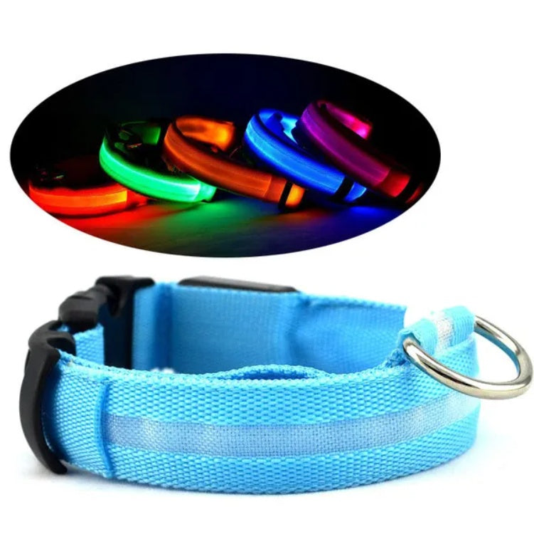 GlowCollar – LED Light for Safe Night Walks