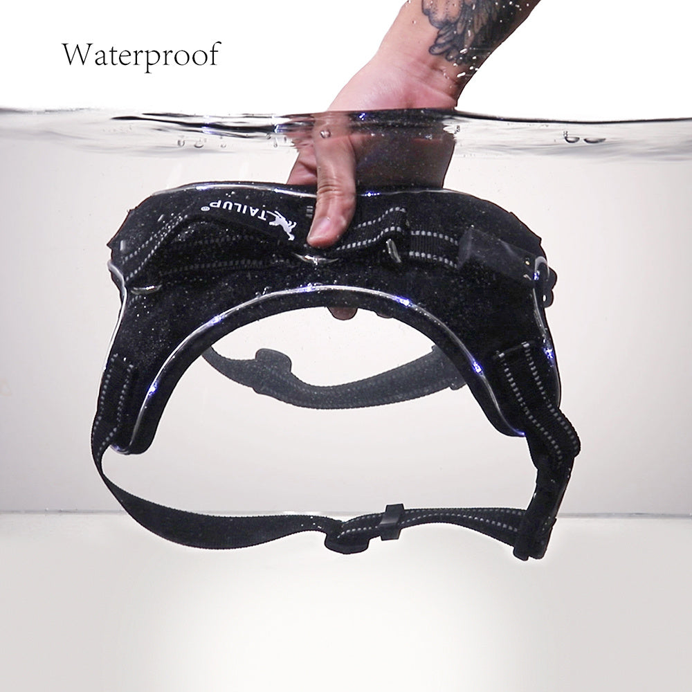 GlowPup – Light-Up Collar for Safe Walks