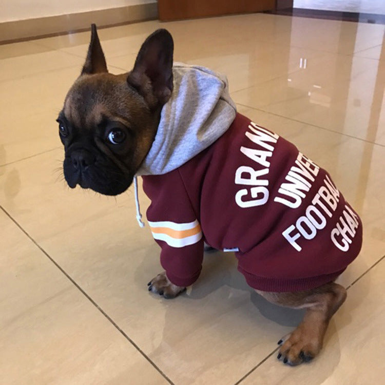 SnuggleKnit – Cozy Sweater for Pets