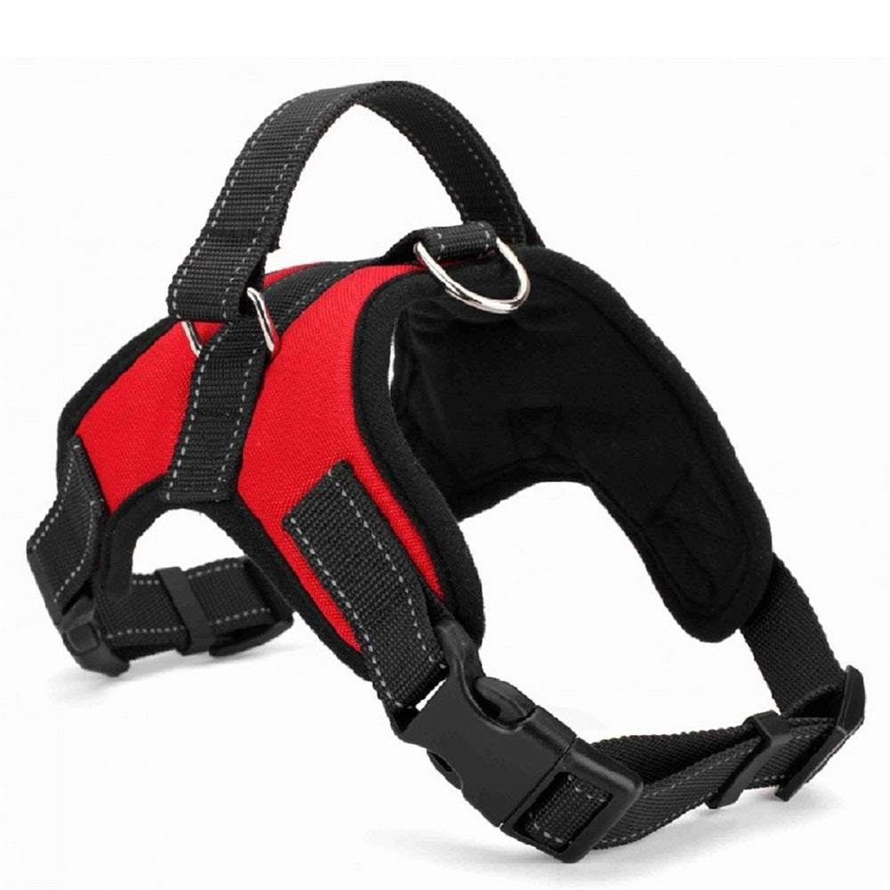 TailTag – Collar for Medium & Large Dogs
