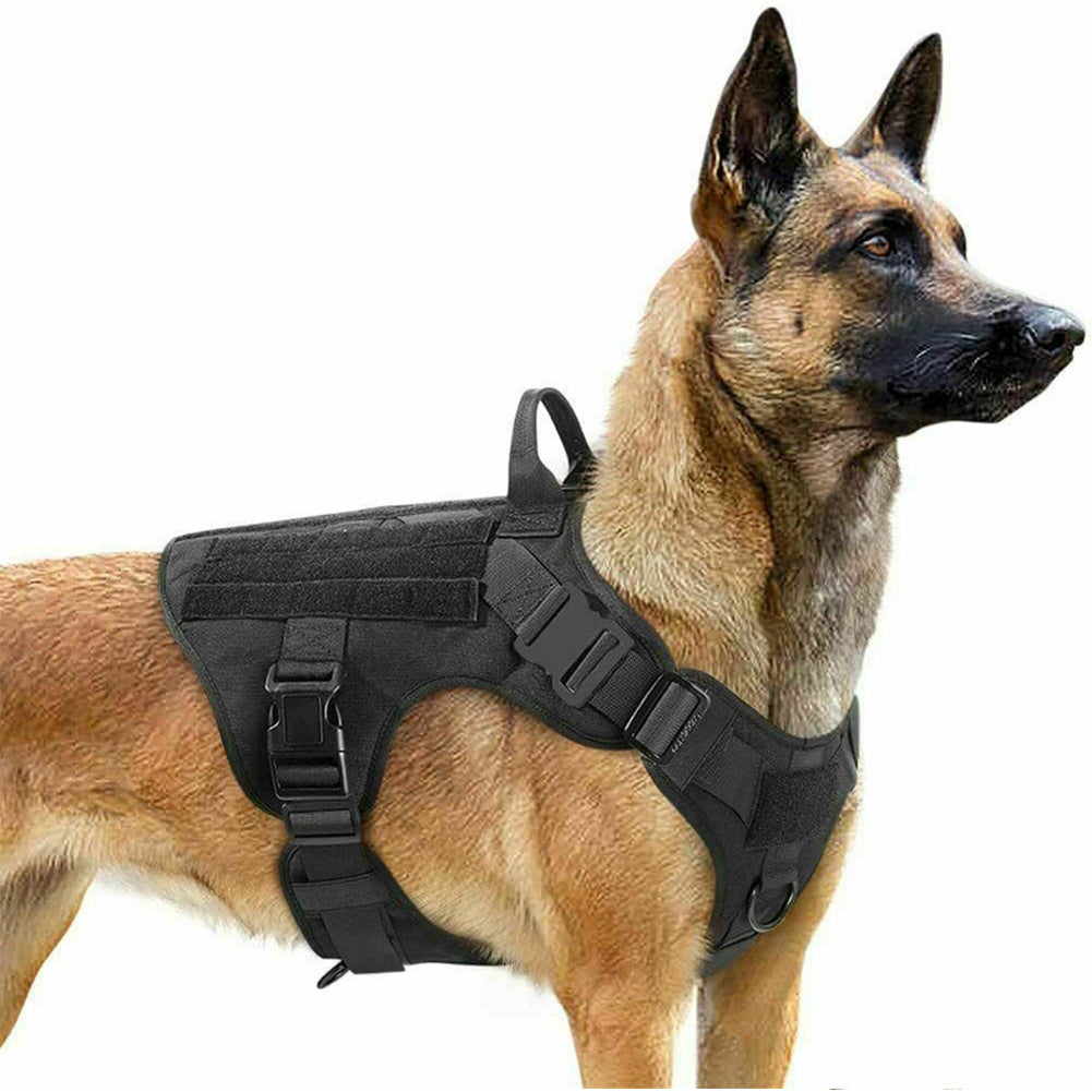 Military Tactical Dog