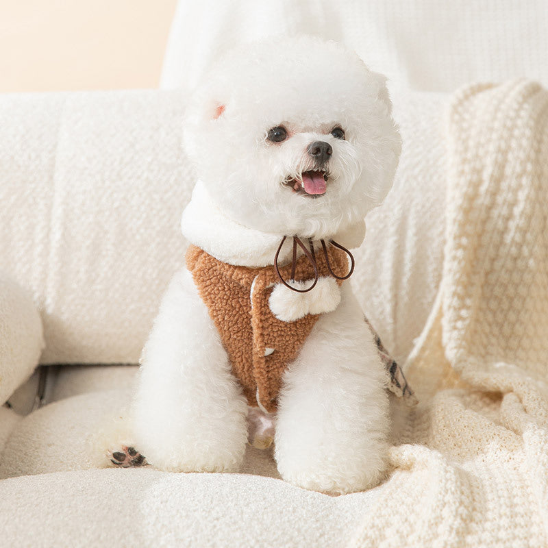 Puppy Bear