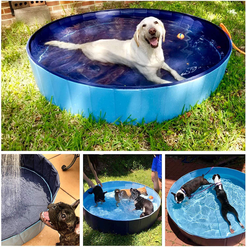 SplashPup – Foldable Pool for Pets & Kids