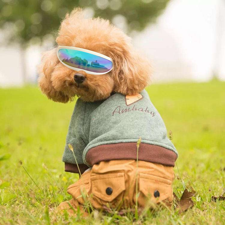 SunPup – UV Goggles for Sunny Adventures
