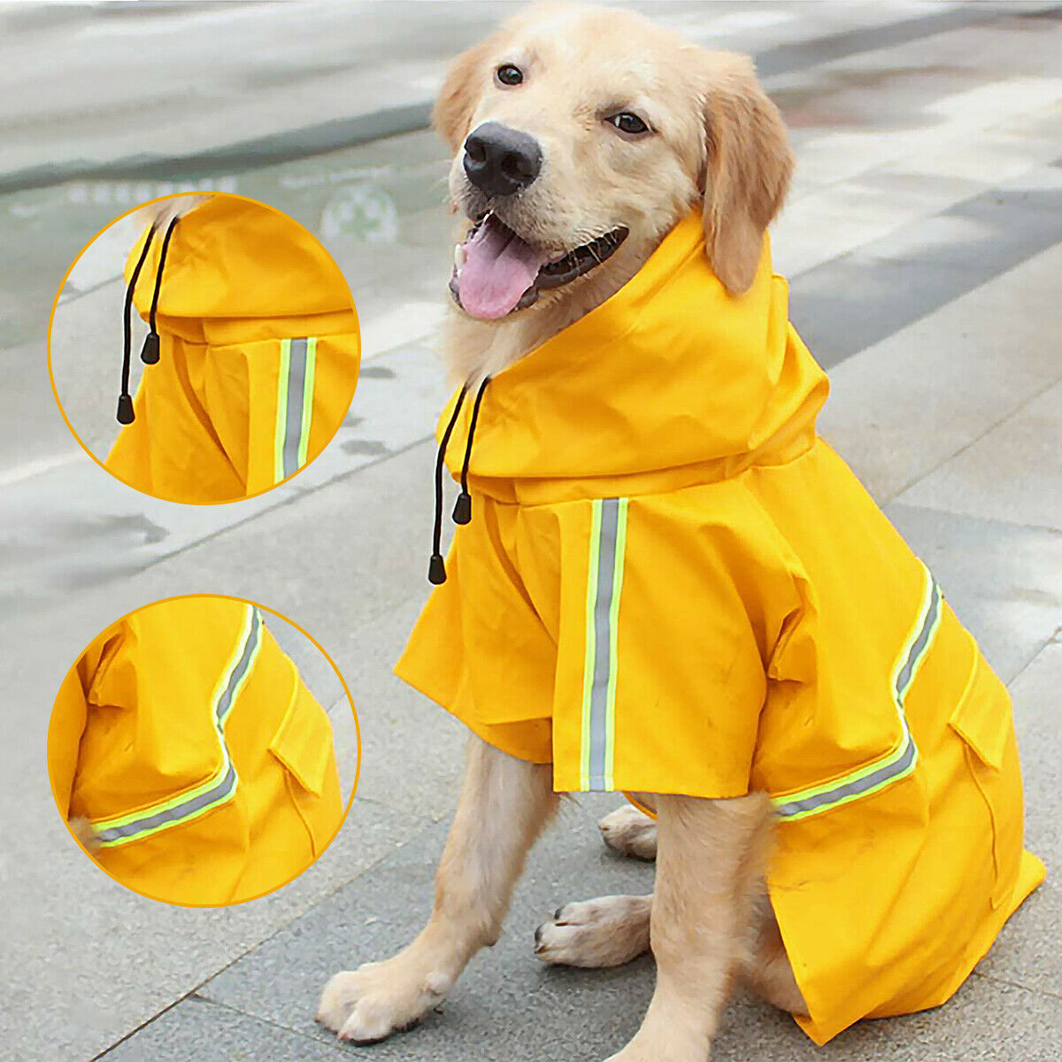 RainPup – Waterproof Coat for Wet Walks