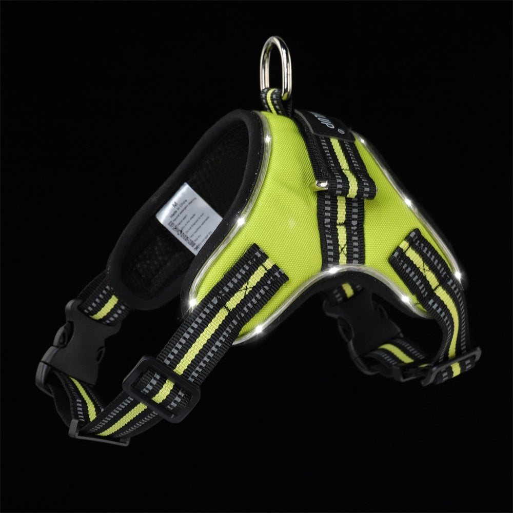 GlowPup – Light-Up Collar for Safe Walks