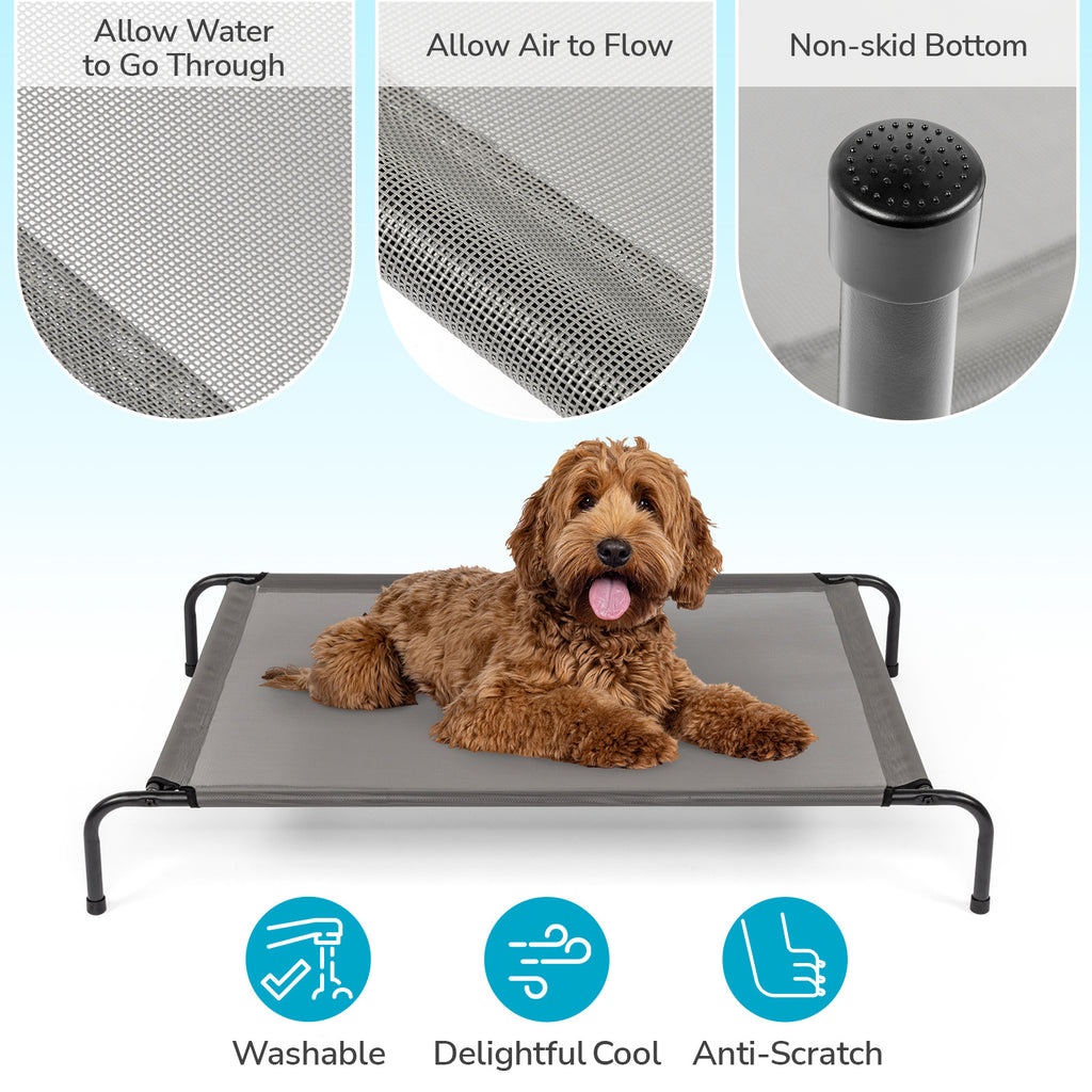 Nap Time – Comfy Beds for Happy Pets