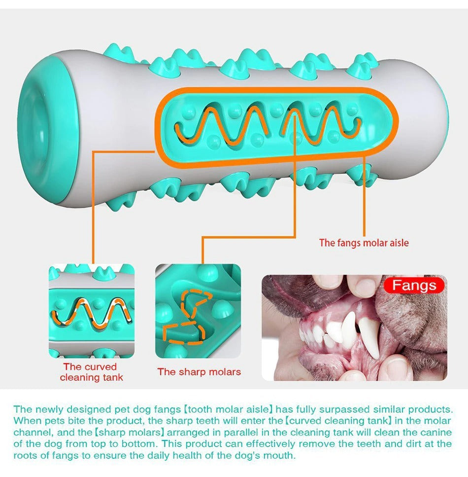 Tough Chew Buddy – Squeaky Toy