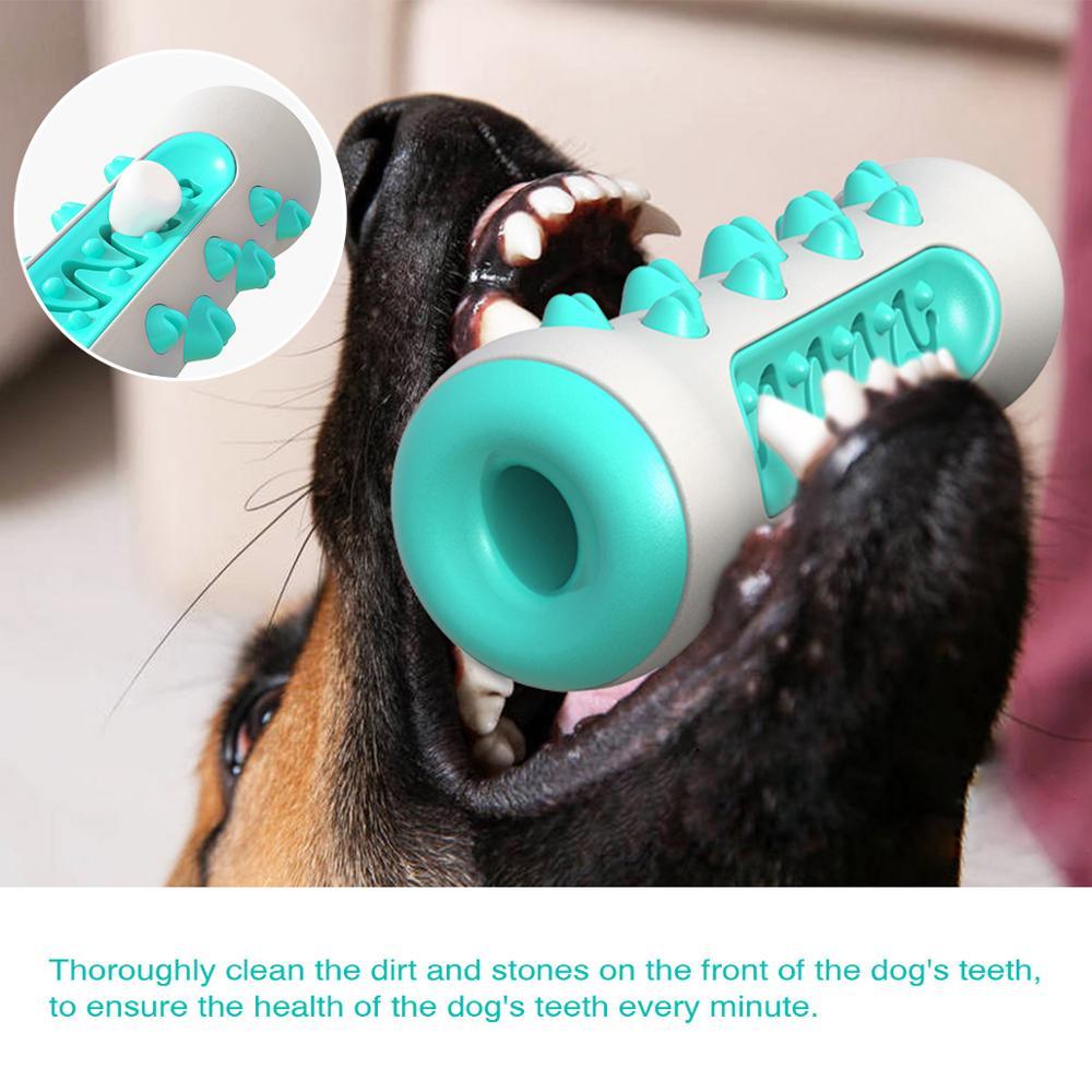 Tough Chew Buddy – Squeaky Toy