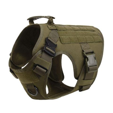 Military Tactical Dog