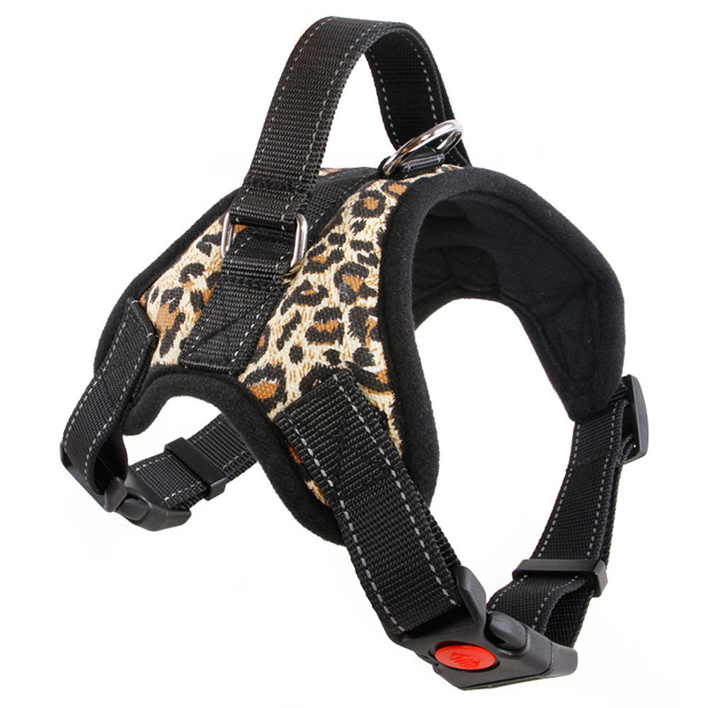 TailTag – Collar for Medium & Large Dogs