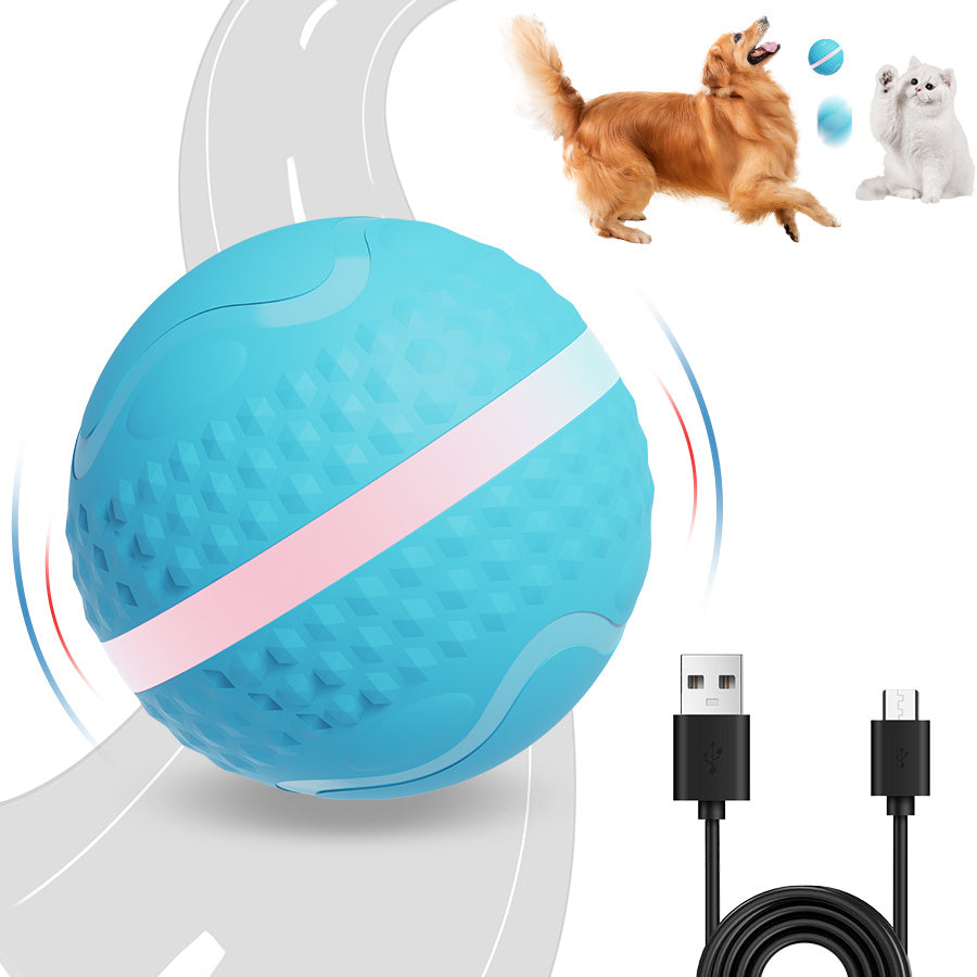 ZapBall – Electric Toy for Energetic Dogs