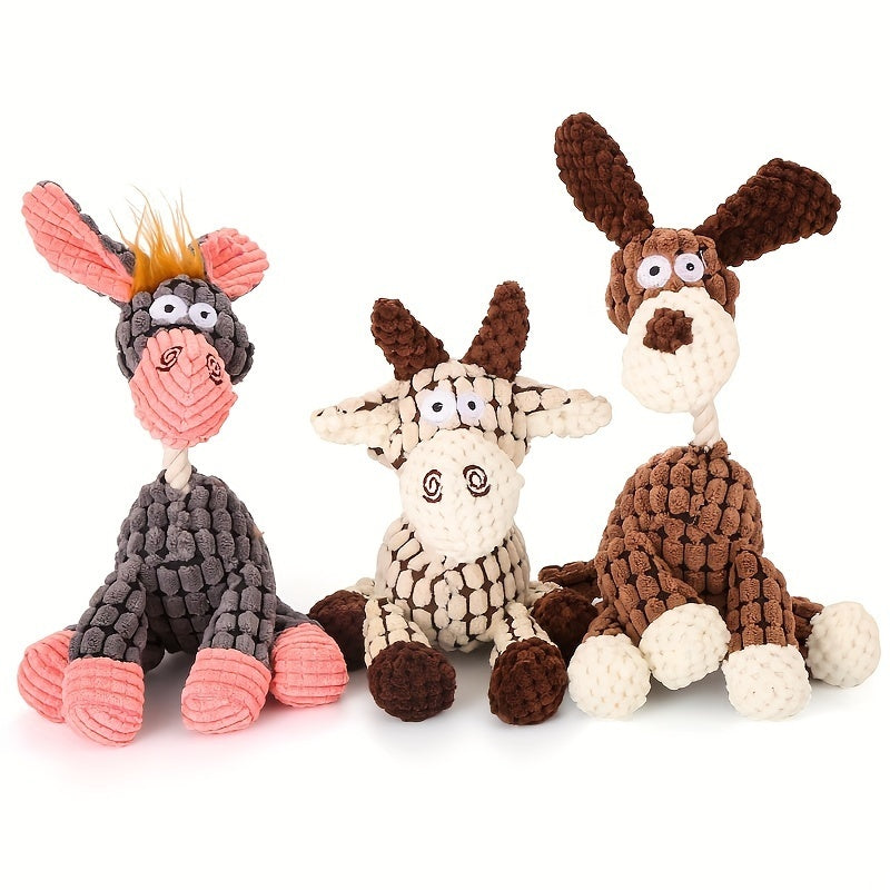 Franky the Donkey